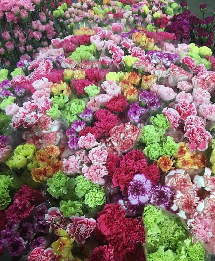 鲜花贸易