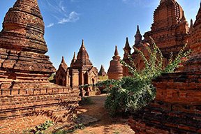 缅甸运输价格查询