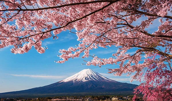 日本富士山