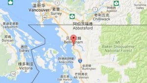 贝灵哈姆bellingham