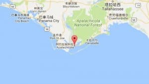 阿巴拉契科拉apalachicola