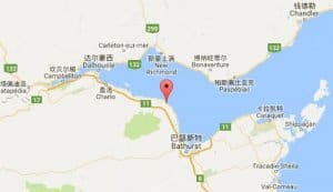 贝拉顿belledune