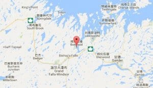 博特伍德botwood