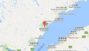 福雷斯特维尔forestville
