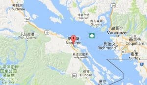 纳奈莫nanaimo