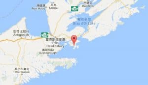 阿里沙特arichat