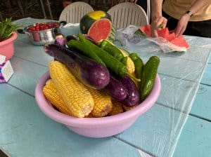 递接物流户外活动