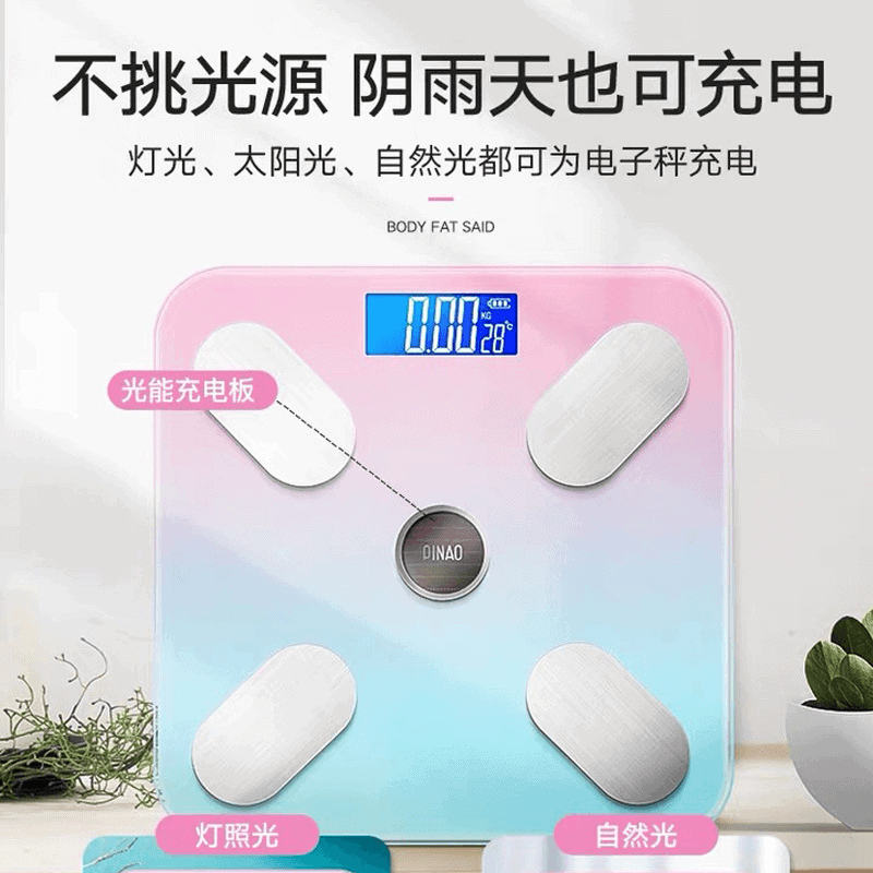 Mini digital protable body weight scale