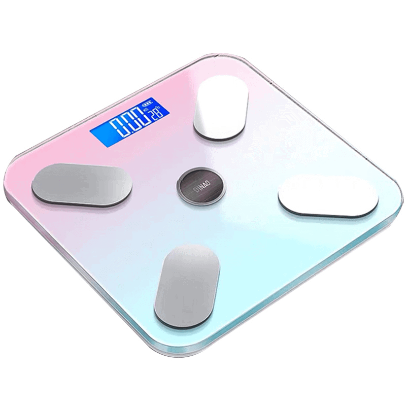 Mini digital protable body weight scale