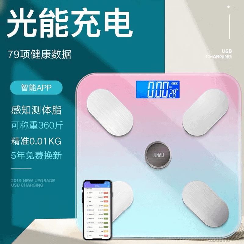 Mini digital protable body weight scale