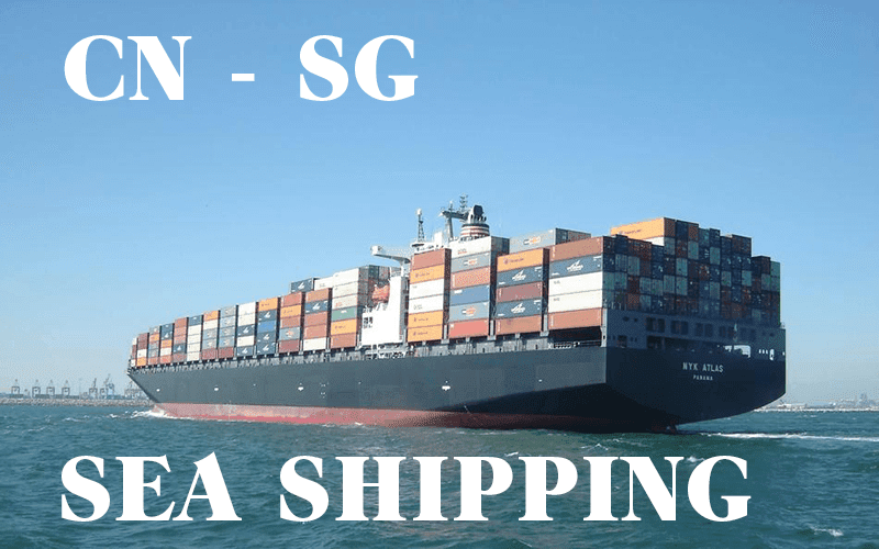 中国到新加坡海运班轮Sea shipping liner