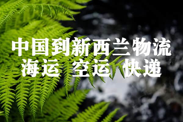 中国到新西兰专线物流
