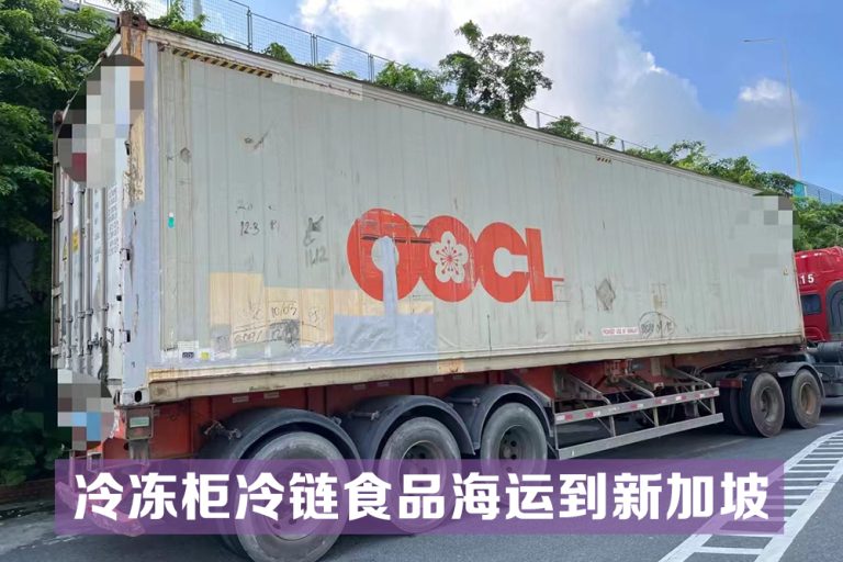 冷冻食品冷链海运到新加坡