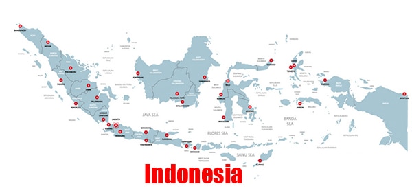 Indonesia special line air and sea express low price Indonesia special line air and sea express low price