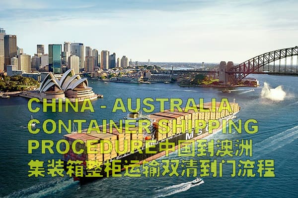 中国到澳洲整柜双清到门运输流程pdf