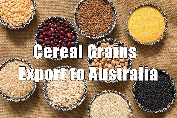 澳大利亚进口谷物