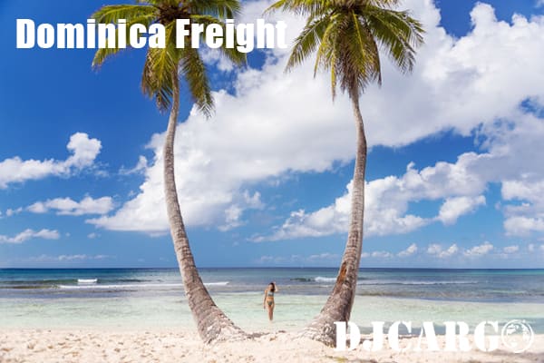 多米尼加运输查询