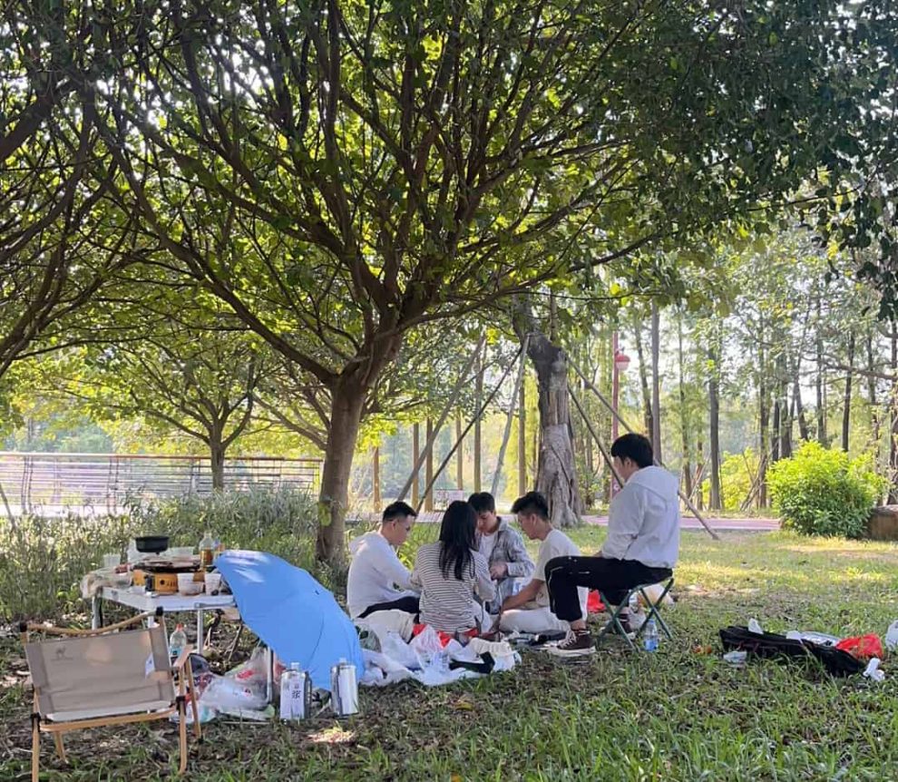 周末露营钓鱼麻将，那天有人栽了