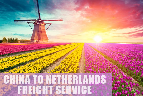 荷兰运输价格查询