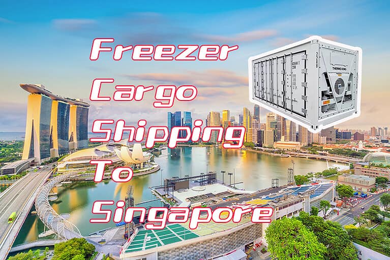 新加坡冷链运输