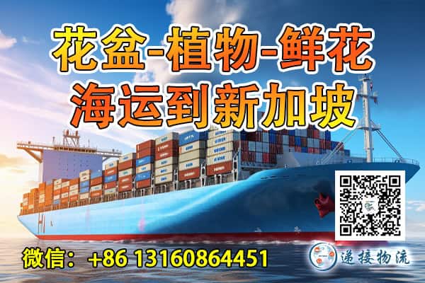 中国海运到新加坡