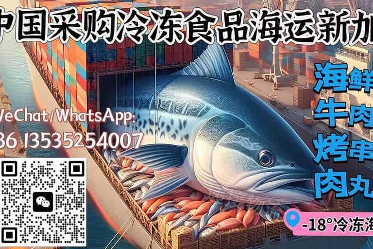 新加坡冷冻食品海运冷链正规双清到门海运操作收费咨询