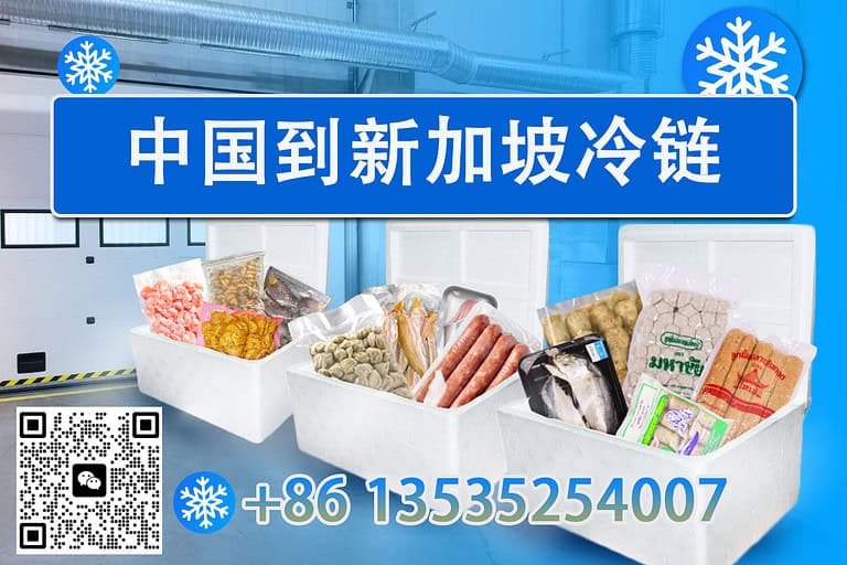 无需进出口资质，轻松寄送冷冻食品到新加坡：一站式冷链物流服务