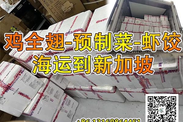 冷冻食品海运到新加坡