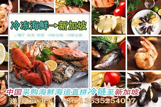 冷冻海鲜运输到新加坡，中国采购海鲜海运直拼冷链至新加坡