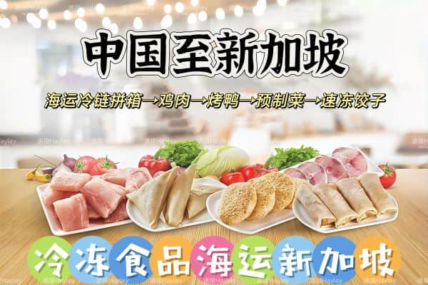 把家乡的味道带到新加坡：专业冷冻食品海运服务