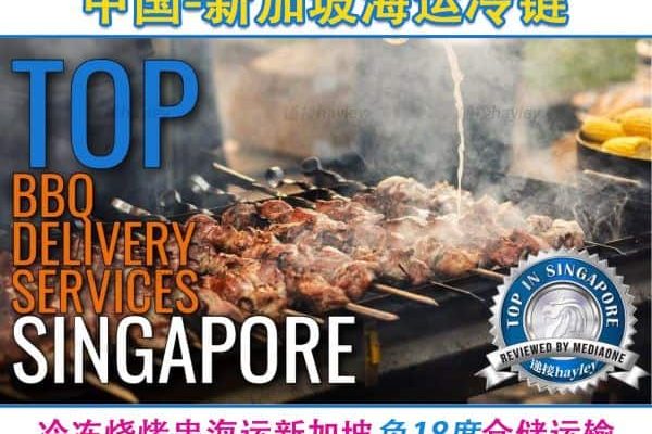 中国至新加坡,马来西亚冻品运输，冷冻烧烤串海运冷链运输