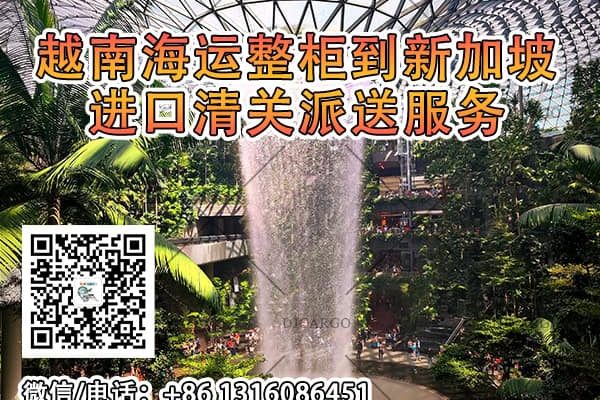 新加坡本地清关