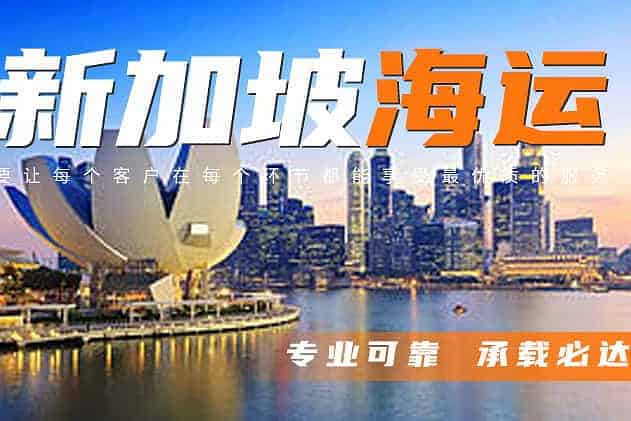 天津港整柜20尺到新加坡双清到门服务