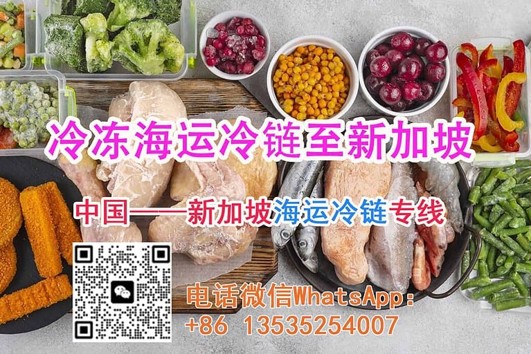 国内至新加坡海运冷冻，个人少量都可以运，正规途径运输和清关