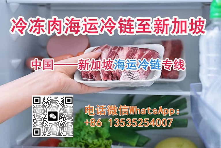冷冻肉海运冷链至新加坡—海运-18度冷冻柜—国内到新加坡