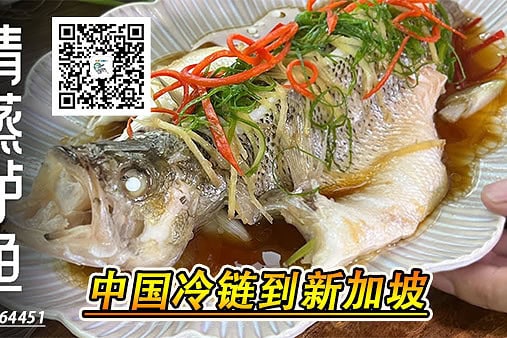 冷冻食品到新加坡