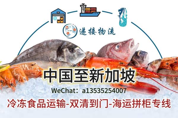 如何确保冷冻品在运输到新加坡的过程中保持最佳状态？