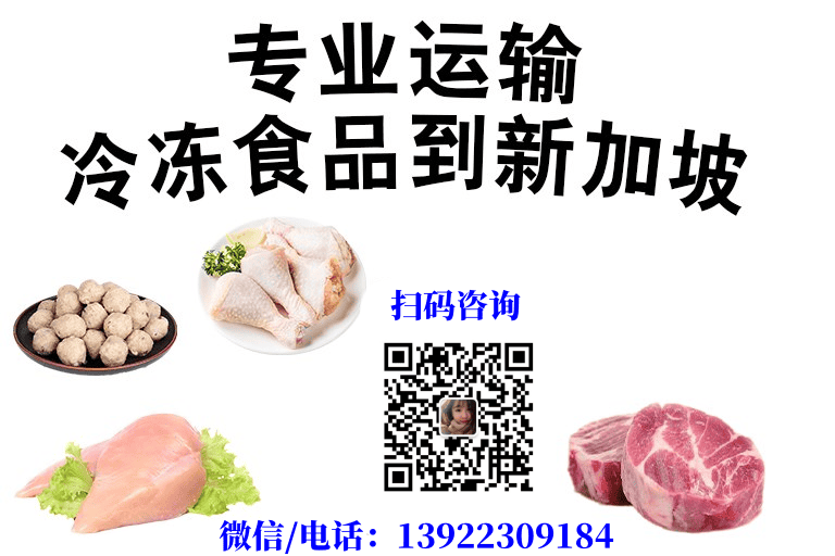 冷冻食品海运到新加坡送货上门