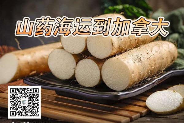 加拿大海运专线