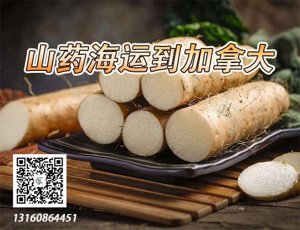 加拿大海运专线