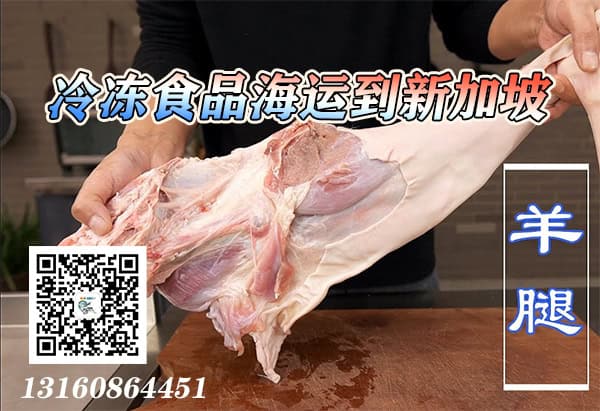 新加坡海运