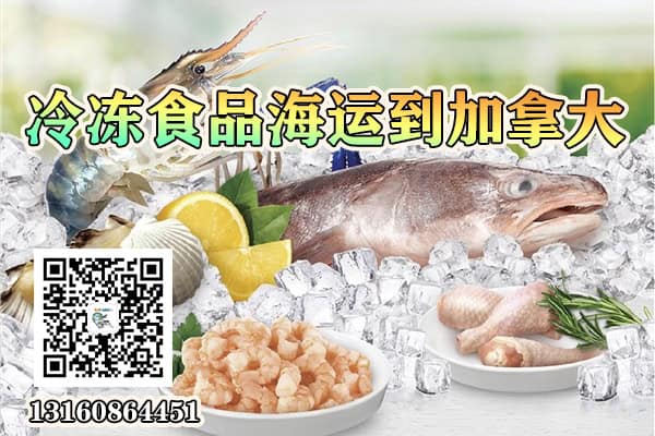 冷冻食品海运到加拿大