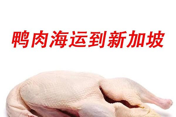 中国海运到新加坡