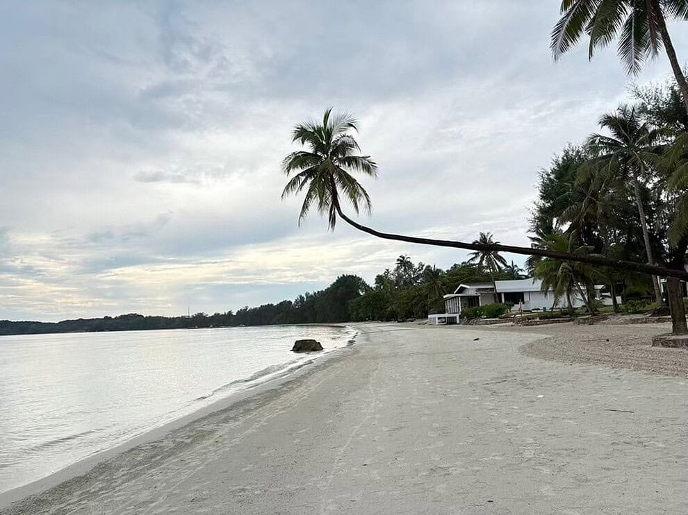 倾倒的椰子树是沙滩不可缺少的风景