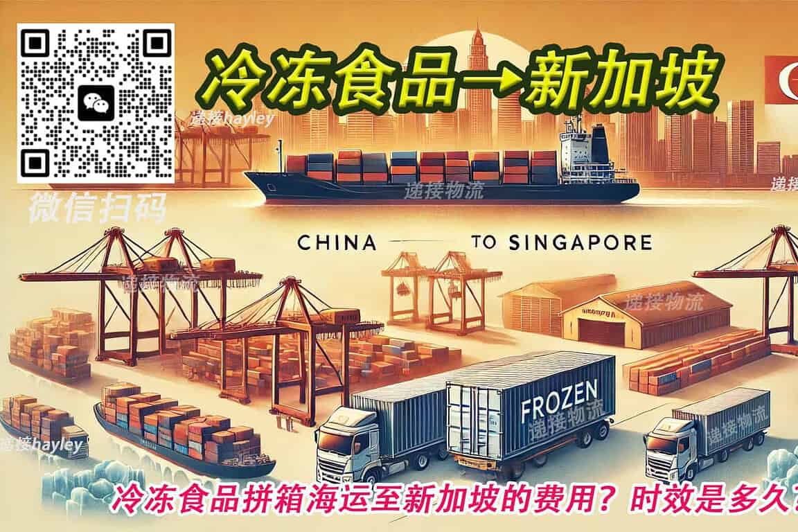 海运小白也能懂:新加坡拼箱与整柜运输全攻略 – 递接物流
