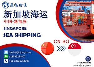 从中国运输货物至新加坡的全方位物流解决方案
