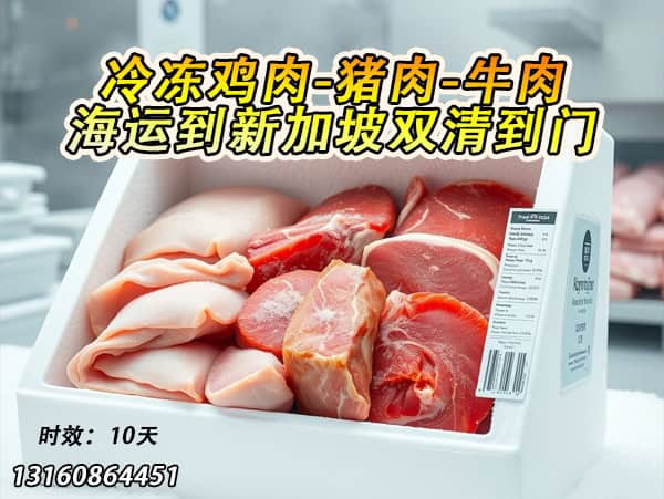 冷冻食品海运新加坡