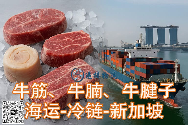 中国冷冻食品牛筋、牛腩、牛腱子海运-冷链-新加坡