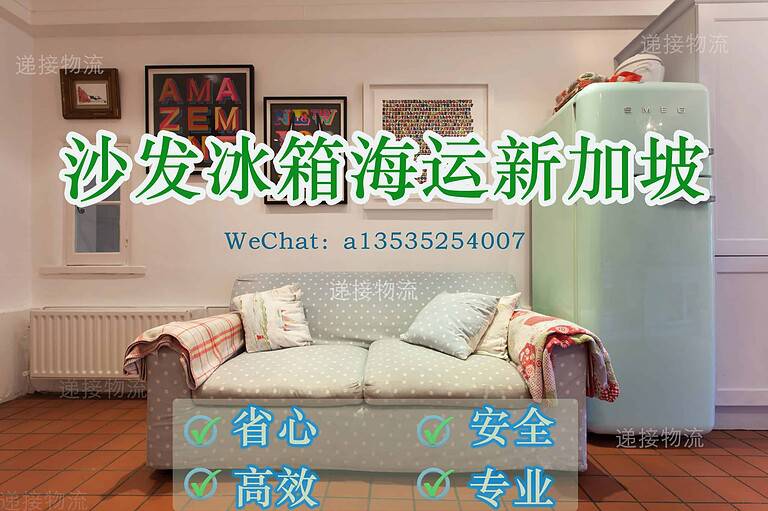 《刘女士的跨国运输体验：轻松搞定沙发和冰箱运新加坡！》