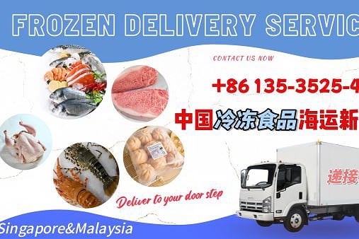 轻松搞定冷冻运输：中国至新加坡的专业冷链门到门服务